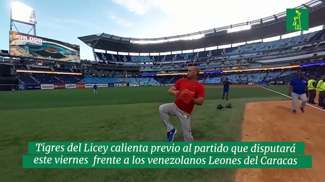 Tigres del Licey calienta previo al partido que disputará este viernes frente a los venezolanos Leones del Caracas