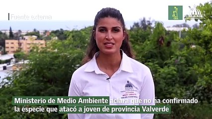 Ministerio de Medio Ambiente aclara que no ha confirmado la especie que atacó a joven de provincia Valverde