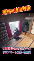 映画『マッド・マウス ～ミッキーとミニー～』衝撃映像