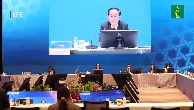 Los ministros de Finanzas de APEC analizan efectos de la guerra en Ucrania