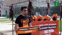 Greenpeace se manifiesta en Santiago en contra de las salmoneras en el sur de Chile