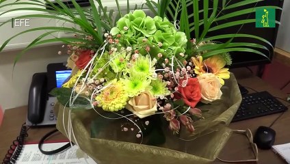 Janus, la tortuga bicéfala del Museo de Ginebra, celebra su 25 cumpleaños