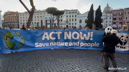Cop16 biodiversit?: il flashmob del Wwf per rompere il silenzio