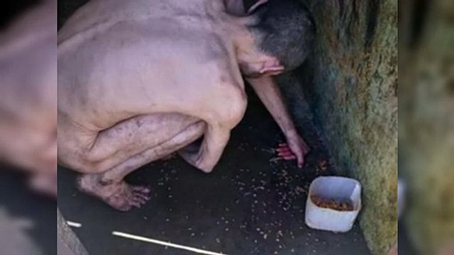 Pacientes psiquiátricos viven en condiciones inhumanas en cárceles