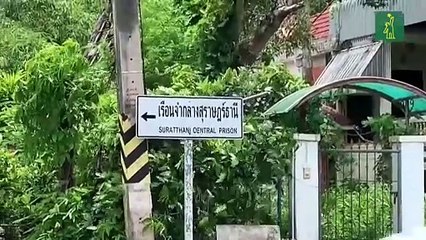 Daniel Sancho estará en cuarentena hasta el 5 de septiembre en la prisión de Surat Thani