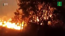 Incendio forestal consume más de 3.800 hectáreas en el sur de Ecuador.mp4