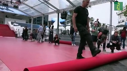 El Festival de Cannes sube el telón sacudido por la tormenta del #MeToo