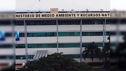 ¿A cuáles viceministros de Medio Ambiente cambió Abinader?