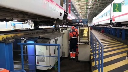 Magyar Vagon obvia las reticencias del Gobierno y lanza una opa para hacerse con Talgo