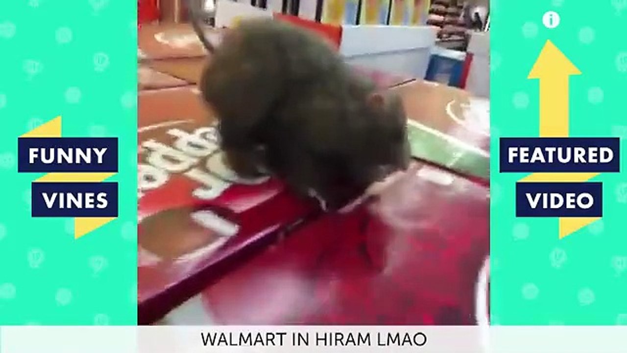 Funny clips