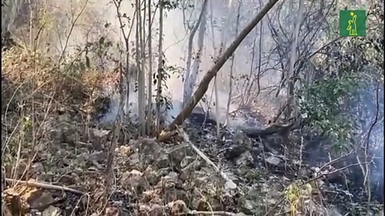 Incendios En México