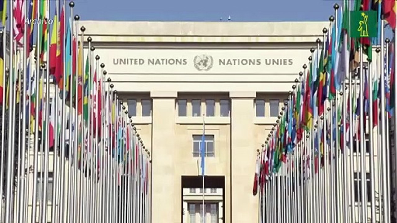 El Consejo de DDHH de la ONU pide detener la venta de armas a Israel