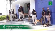 CESAC gradúa 21 binomios caninos en detección de explosivo