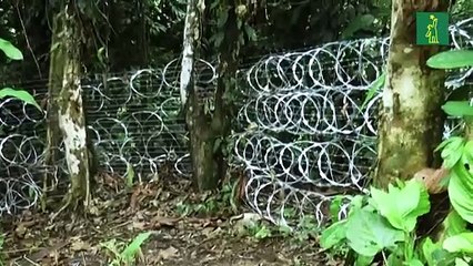 "Deportación" de migrantes en Panamá es "inminente", dice EEUU