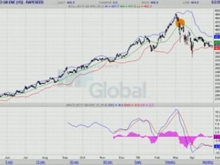 COLZA EURONEXT 03.05.08