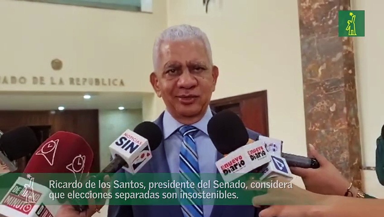 El presidente del Senado considera que  cantidad de diputados y elecciones separadas son insostenibles en RD