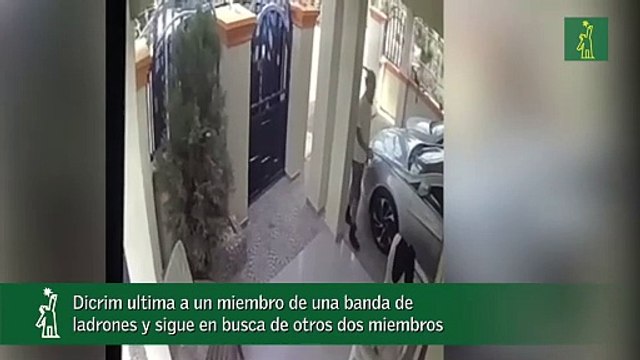 Dicrim Ultima A Un Miembro De Una Banda De Ladrones Y Sigue En Busca De Otros Dos Miembros