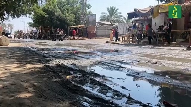 La OMS está muy preocupada por posibles epidemias en Gaza