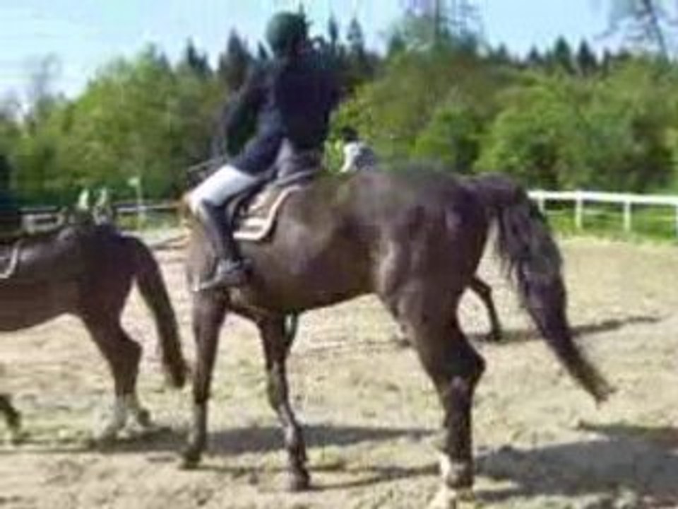 1erconcours030508 (6)