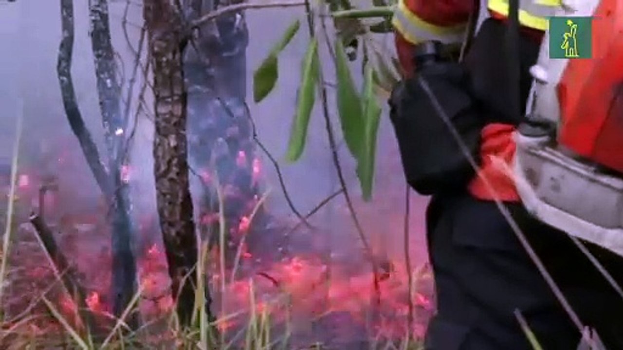 Bomberos luchan por controlar incendios en el Pantanal mientras las llamas retroceden