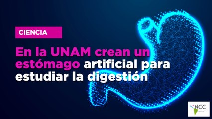 En la UNAM crean un estómago artificial para estudiar la digestión