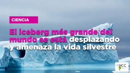 El iceberg más grande del mundo se está desplazando y amenaza la vida silvestre