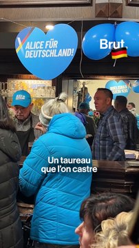 En Allemagne, le parti d’extrême droite AfD est crédité de 21 %, mais pourquoi ?