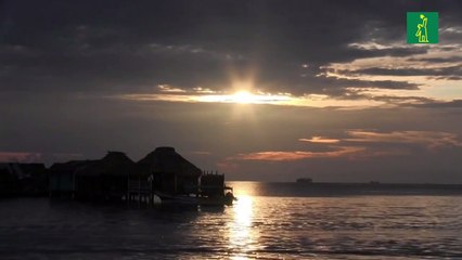 Con el desafío de impulsar la seguridad alimentaria la producción pesquera mundial marca un nuevo récord