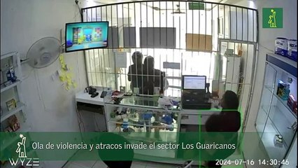 Ola De Violencia Y Atracos Invade El Sector Los Guaricanos
