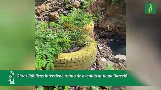 Obras Públicas interviene tramo de avenida antigua Barceló