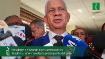 Presidente Del Senado Dice Constitución Es Frágil Y Su Reforma Evitaría Prolongación Del Poder