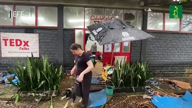 Las mascotas rescatadas de las inundaciones en Brasil aguardan un nuevo hogar