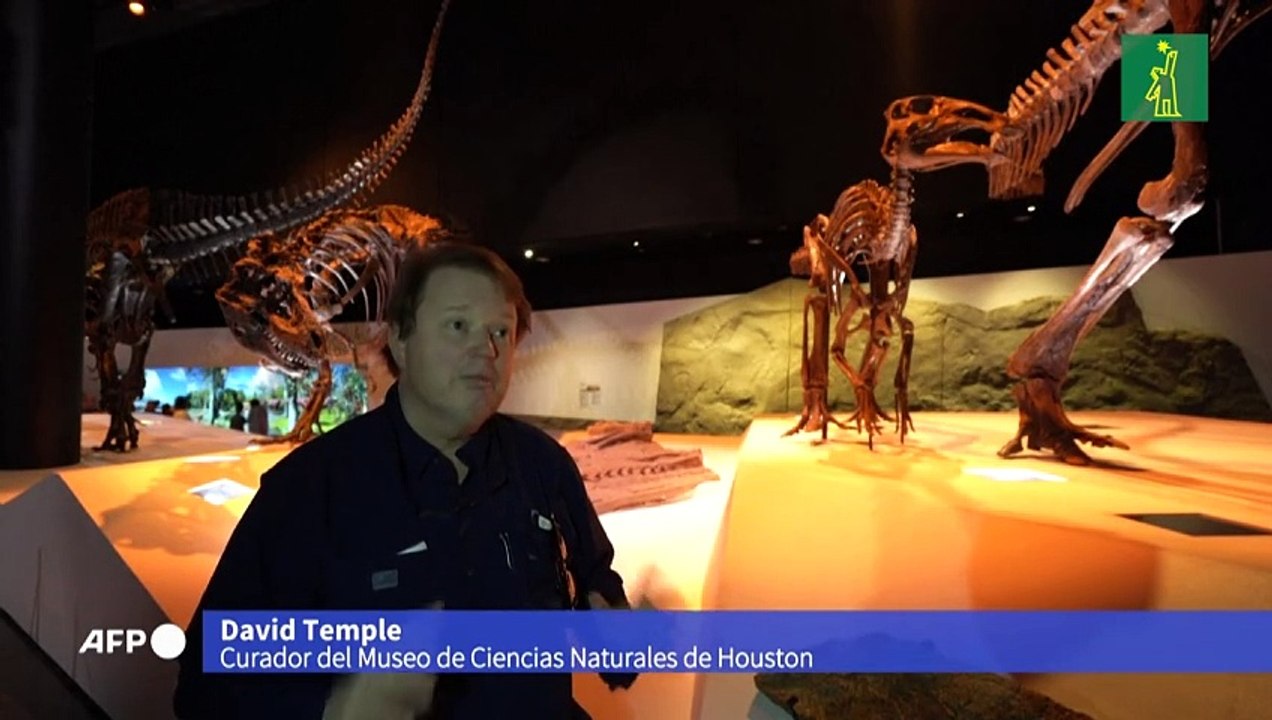 El arte de restaurar fósiles, "rompecabezas" de millones de años en EEUU