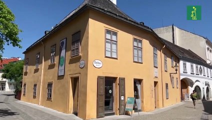 La Novena sinfonía de Beethoven cumple dos siglos desde su estreno en Viena