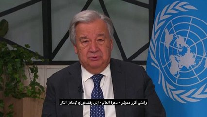 La ONU pide un alto el fuego "inmediato" en la guerra en Gaza, con más de 35.000 muertos