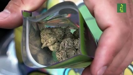 EEUU a punto de reclasificar la marihuana como droga menos peligrosa