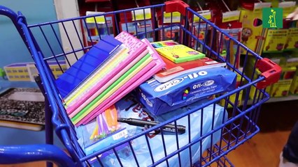 MATERIAL ESCOLAR DOCUMENTAL