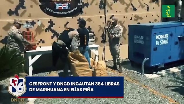 CESFRONT y DNCD incautan 384 libras de marihuana en Elías piña