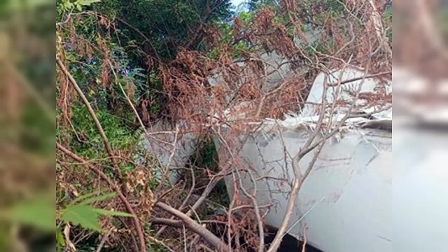 EGE Haina garantiza seguridad tras caía con aspas de molinos eólicos