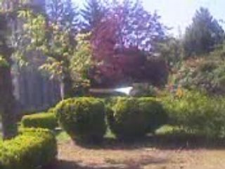 Lendemain de soirée chez Arthur