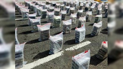 Ocupan más de una tonelada de droga en provincia La Altagracia