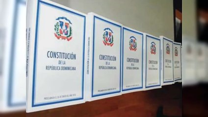 88 % de los artículos de la Constitución contiene faltas sintácticas