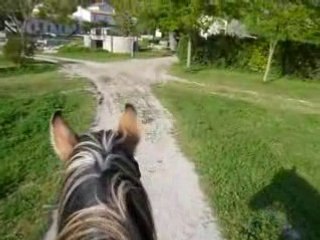 petite promenade autour du centre equestre avec fire