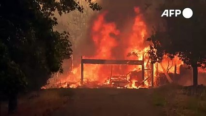 Evacuan a miles de personas por incendio fuera de control en California