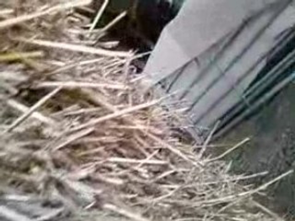 airsoft