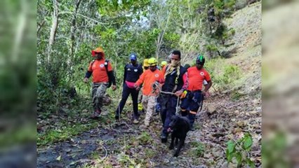 Reinician por aire y tierra búsqueda de mujer desaparecida Constanza