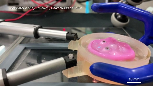 Científicos japoneses crean robot sonriente con piel viva