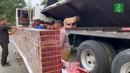 Decomisan 290,000 unidades de cigarrillos en chequeo militar de Azua