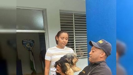 Policía recupera perrita “Yorshire” robada en Santo Domingo Norte