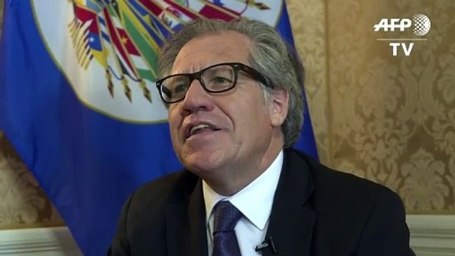 OEA: “En Venezuela no hay democracia ni Estado de Derecho”